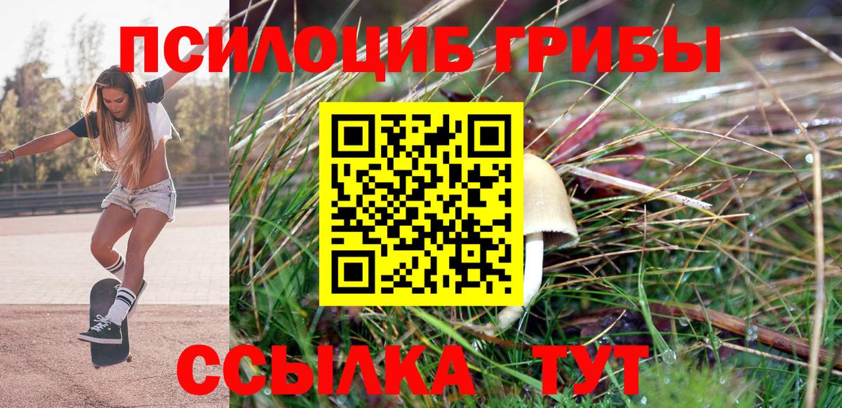 Псилоцибиновые грибы прущие грибы  Вход с VPN  Галлюциногенные грибы Magic Shrooms  Десногорск 